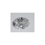 1.06 ct Oval Lab-Grown Diamond – D VVS2 – Faceted Cut – IGI Certified — Sapphire Row