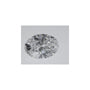 1.08 ct Oval Lab-Grown Diamond – D VVS2 – Faceted Cut – IGI Certified — Sapphire Row