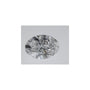 1.07 ct Oval Lab-Grown Diamond – D VVS2 – Faceted Cut – IGI Certified — Sapphire Row