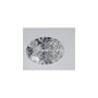 1.55 ct Oval Lab-Grown Diamond – D VVS2 – Faceted Cut – IGI Certified — Sapphire Row