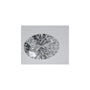 1.57 ct Oval Lab-Grown Diamond – D VVS2 – Faceted Cut – IGI Certified — Sapphire Row