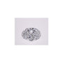 1.04 ct Oval Lab-Grown Diamond – D VVS2 – Faceted Cut – IGI Certified — Sapphire Row