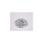 1.04 ct Oval Lab-Grown Diamond – D VVS2 – Faceted Cut – IGI Certified — Sapphire Row