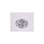 1.04 ct Oval Lab-Grown Diamond – D VVS2 – Faceted Cut – IGI Certified — Sapphire Row