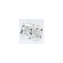 2.69 ct Radiant Lab-Grown Diamond – E VS1 – Faceted Cut – GCAL Certified — Sapphire Row
