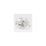 1.60 ct Oval Lab-Grown Diamond – D VVS2 – Faceted Cut – GCAL Certified — Sapphire Row