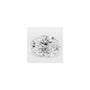 2.32 ct Oval Lab-Grown Diamond – D VS1 – Faceted Cut – GCAL Certified — Sapphire Row