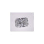 2.76 ct Radiant Lab-Grown Diamond – D VVS1 – Faceted Cut – IGI Certified — Sapphire Row