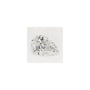 1.00 ct Pear Lab-Grown Diamond – E VVS2 – Faceted Cut – GCAL Certified — Sapphire Row