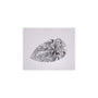 3.03 ct Pear Natural Diamond – D SI2 – Faceted Cut – GIA Certified — Sapphire Row