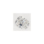 1.05 ct Elongated Cushion Lab-Grown Diamond – D VVS2 – Faceted Cut – GCAL Certified — Sapphire Row