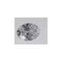 0.55 ct Oval Lab-Grown Diamond – D VS1 – Faceted Cut – IGI Certified — Sapphire Row