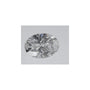 0.55 ct Oval Lab-Grown Diamond – D VS1 – Faceted Cut – IGI Certified — Sapphire Row