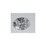0.55 ct Oval Lab-Grown Diamond – D VS1 – Faceted Cut – IGI Certified — Sapphire Row