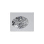 0.56 ct Oval Lab-Grown Diamond – D VVS2 – Faceted Cut – IGI Certified — Sapphire Row