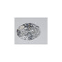 0.57 ct Oval Lab-Grown Diamond – D VVS1 – Faceted Cut – IGI Certified — Sapphire Row