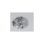 0.57 ct Oval Lab-Grown Diamond – D VVS2 – Faceted Cut – IGI Certified — Sapphire Row