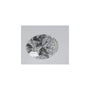 0.70 ct Oval Lab-Grown Diamond – D VS1 – Faceted Cut – IGI Certified — Sapphire Row