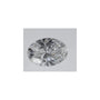 0.70 ct Oval Lab-Grown Diamond – D VVS2 – Faceted Cut – IGI Certified — Sapphire Row