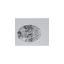 0.70 ct Oval Lab-Grown Diamond – D VS1 – Faceted Cut – IGI Certified — Sapphire Row