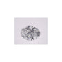 0.77 ct Oval Lab-Grown Diamond – D VS1 – Faceted Cut – IGI Certified — Sapphire Row