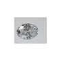0.52 ct Oval Lab-Grown Diamond – D VS1 – Faceted Cut – IGI Certified — Sapphire Row