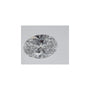 0.54 ct Oval Lab-Grown Diamond – D VVS1 – Faceted Cut – IGI Certified — Sapphire Row