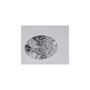 0.54 ct Oval Lab-Grown Diamond – D VVS2 – Faceted Cut – IGI Certified — Sapphire Row