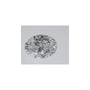 0.54 ct Oval Lab-Grown Diamond – D VVS2 – Faceted Cut – IGI Certified — Sapphire Row