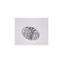 1.03 ct Oval Lab-Grown Diamond – D VVS1 – Faceted Cut – IGI Certified — Sapphire Row