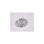 1.03 ct Oval Lab-Grown Diamond – D VVS2 – Faceted Cut – IGI Certified — Sapphire Row