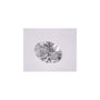 1.03 ct Oval Lab-Grown Diamond – D VVS1 – Faceted Cut – IGI Certified — Sapphire Row