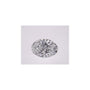 1.03 ct Oval Lab-Grown Diamond – D VVS2 – Faceted Cut – IGI Certified — Sapphire Row