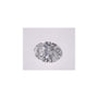 1.03 ct Oval Lab-Grown Diamond – D VS1 – Faceted Cut – IGI Certified — Sapphire Row