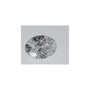 0.74 ct Oval Lab-Grown Diamond – D VVS2 – Faceted Cut – IGI Certified — Sapphire Row