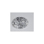 1.01 ct Oval Lab-Grown Diamond – D VVS2 – Faceted Cut – IGI Certified — Sapphire Row