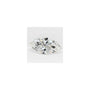 2.09 ct Marquise Lab-Grown Diamond – E VVS2 – Faceted Cut – GCAL Certified — Sapphire Row