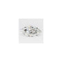 2.03 ct Marquise Lab-Grown Diamond – F VVS2 – Faceted Cut – GCAL Certified — Sapphire Row