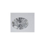 1.04 ct Oval Lab-Grown Diamond – D VVS1 – Faceted Cut – IGI Certified — Sapphire Row