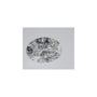 1.04 ct Oval Lab-Grown Diamond – D VVS2 – Faceted Cut – IGI Certified — Sapphire Row