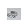 1.05 ct Oval Lab-Grown Diamond – D VVS1 – Faceted Cut – IGI Certified — Sapphire Row