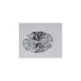 1.04 ct Oval Lab-Grown Diamond – D VVS2 – Faceted Cut – IGI Certified — Sapphire Row