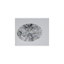 1.09 ct Oval Lab-Grown Diamond – D VVS2 – Faceted Cut – IGI Certified — Sapphire Row