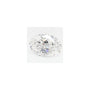 0.72 ct Oval Lab-Grown Diamond – D VVS2 – Faceted Cut – GCAL Certified — Sapphire Row