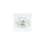 0.76 ct Oval Lab-Grown Diamond – F VVS2 – Faceted Cut – GCAL Certified — Sapphire Row