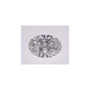 1.42 ct Oval Lab-Grown Diamond – D VVS2 – Faceted Cut – IGI Certified — Sapphire Row