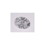 1.49 ct Oval Lab-Grown Diamond – D VVS2 – Faceted Cut – IGI Certified — Sapphire Row