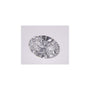 1.53 ct Oval Lab-Grown Diamond – D VVS1 – Faceted Cut – IGI Certified — Sapphire Row