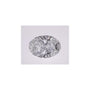 1.54 ct Oval Lab-Grown Diamond – D VVS1 – Faceted Cut – IGI Certified — Sapphire Row