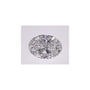 1.56 ct Oval Lab-Grown Diamond – D VS1 – Faceted Cut – IGI Certified — Sapphire Row